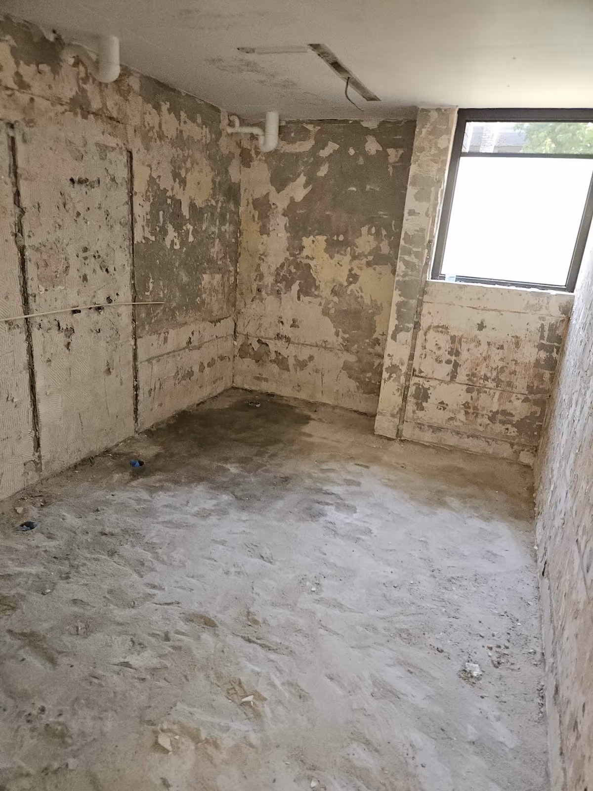 Site preparation and cleanup